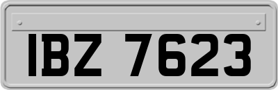 IBZ7623