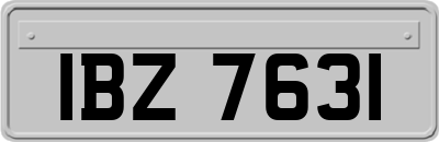 IBZ7631