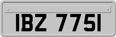 IBZ7751