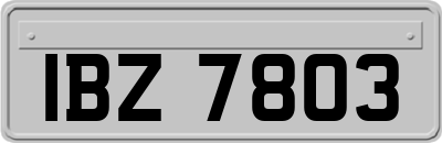 IBZ7803