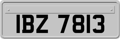 IBZ7813