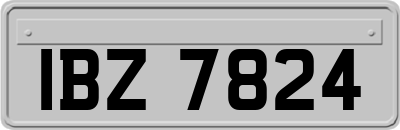 IBZ7824