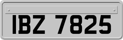 IBZ7825