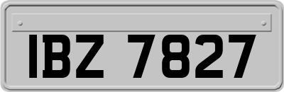 IBZ7827