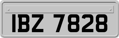 IBZ7828