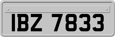 IBZ7833