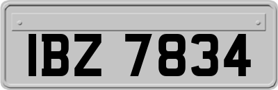 IBZ7834