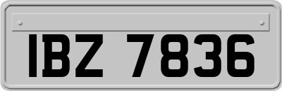 IBZ7836
