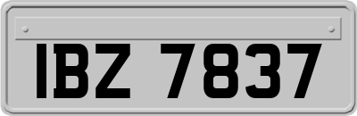 IBZ7837