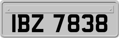 IBZ7838