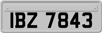 IBZ7843