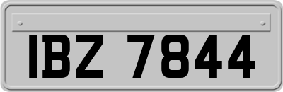 IBZ7844