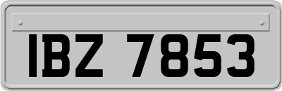IBZ7853