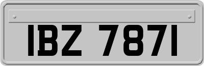 IBZ7871