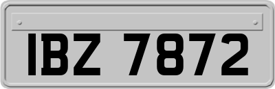 IBZ7872