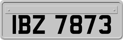 IBZ7873