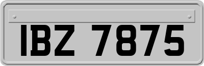 IBZ7875