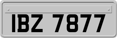 IBZ7877