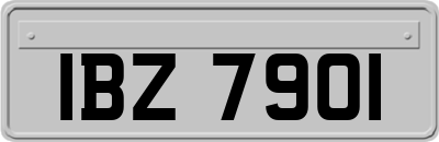 IBZ7901