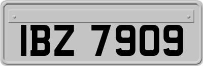 IBZ7909