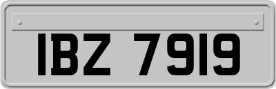 IBZ7919