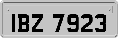 IBZ7923
