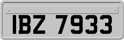 IBZ7933