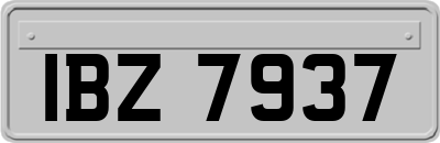 IBZ7937
