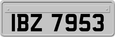 IBZ7953
