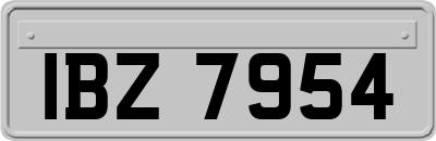 IBZ7954