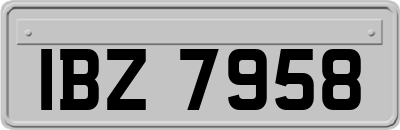 IBZ7958