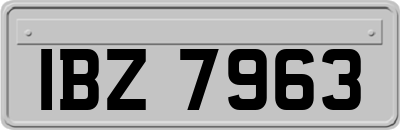 IBZ7963