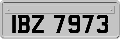 IBZ7973