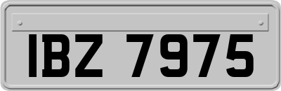 IBZ7975