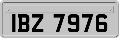 IBZ7976