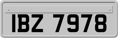 IBZ7978