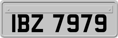 IBZ7979