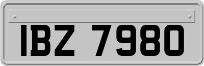 IBZ7980