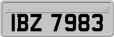 IBZ7983