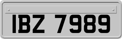 IBZ7989