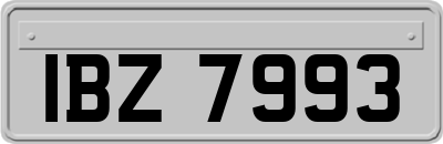 IBZ7993