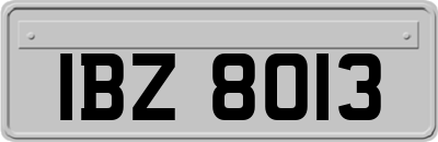 IBZ8013