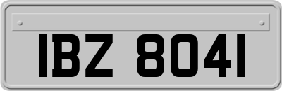IBZ8041