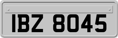 IBZ8045