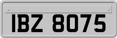 IBZ8075