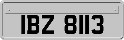 IBZ8113