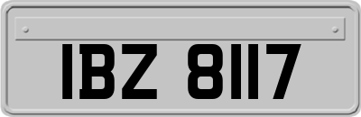 IBZ8117