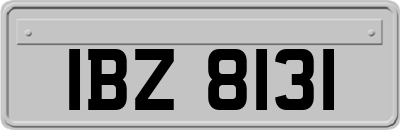 IBZ8131