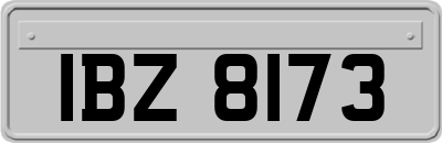 IBZ8173