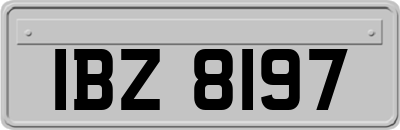 IBZ8197